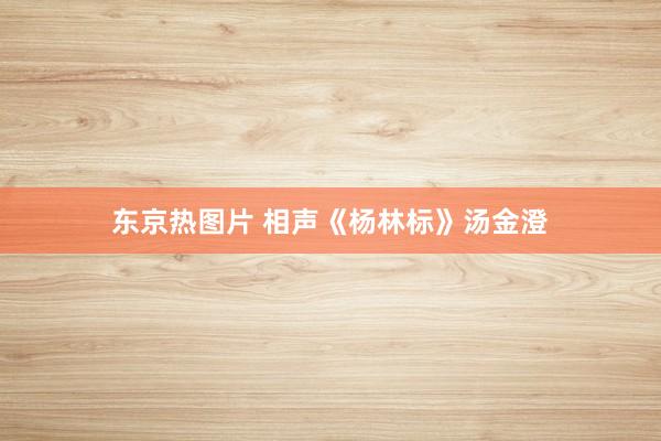 东京热图片 相声《杨林标》汤金澄