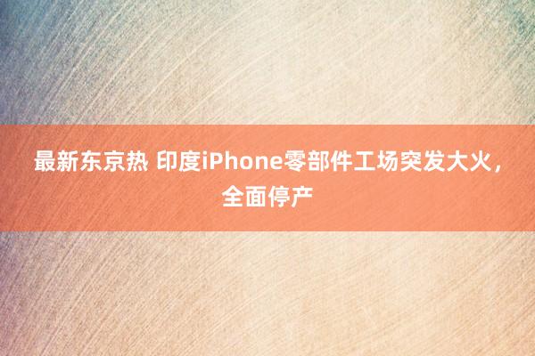 最新东京热 印度iPhone零部件工场突发大火，全面停产