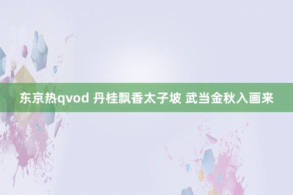 东京热qvod 丹桂飘香太子坡 武当金秋入画来