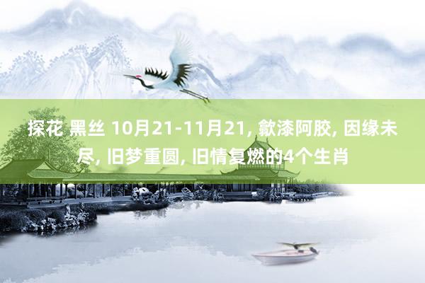 探花 黑丝 10月21-11月21， 歙漆阿胶， 因缘未尽， 旧梦重圆， 旧情复燃的4个生肖