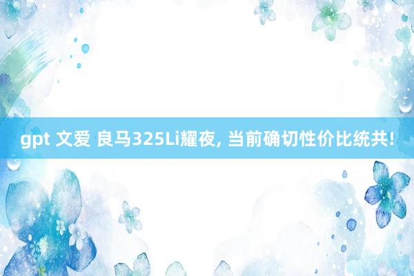 gpt 文爱 良马325Li耀夜， 当前确切性价比统共!