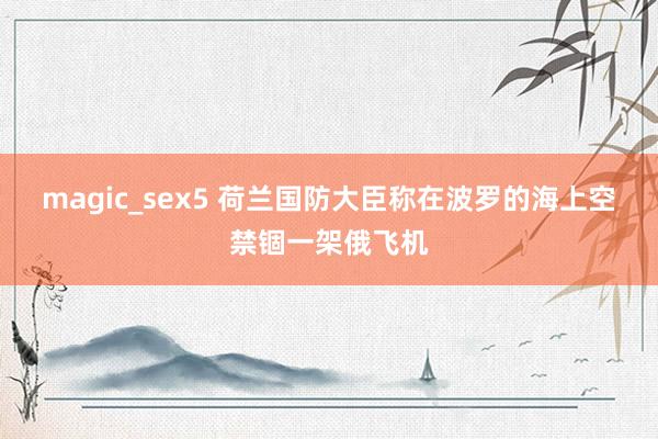 magic_sex5 荷兰国防大臣称在波罗的海上空禁锢一架俄飞机