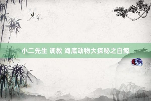 小二先生 调教 海底动物大探秘之白鲸