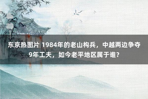 东京热图片 1984年的老山构兵，中越两边争夺9年工夫，如今老平地区属于谁？