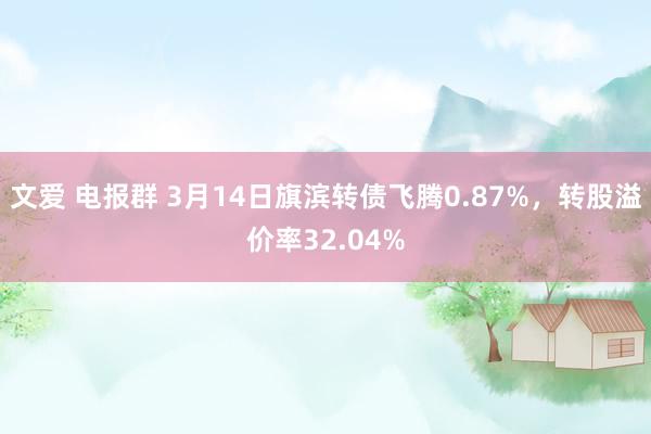 文爱 电报群 3月14日旗滨转债飞腾0.87%，转股溢价率32.04%