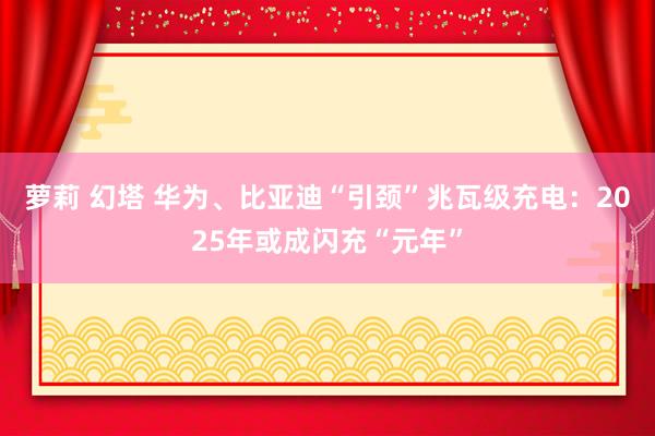 萝莉 幻塔 华为、比亚迪“引颈”兆瓦级充电：2025年或成闪充“元年”
