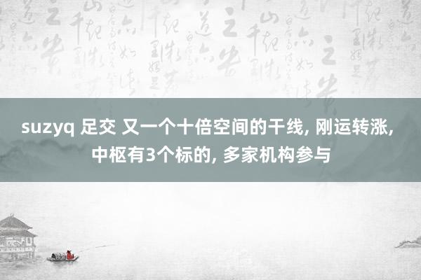 suzyq 足交 又一个十倍空间的干线， 刚运转涨， 中枢有3个标的， 多家机构参与